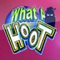 Microgaming's What a Hoot Video Slot Review