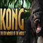 Playtech's Kong Video Slot Review