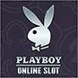 The Fantastic Playboy Online Pokie